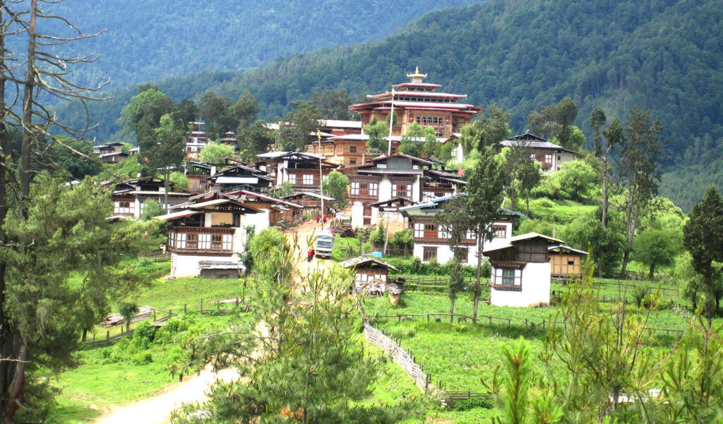 Explore the Gangtey Valley