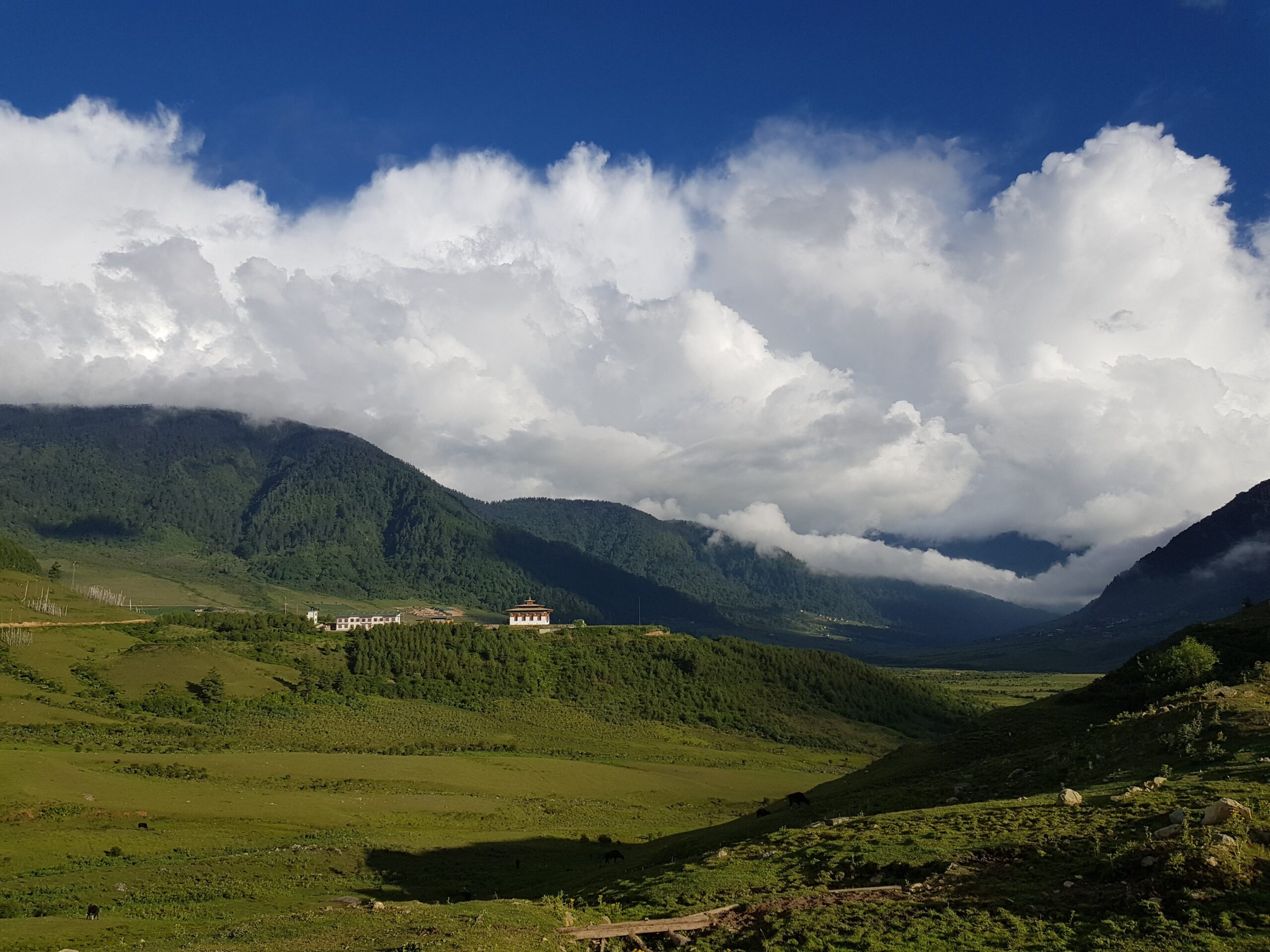 Classic Laya Trek