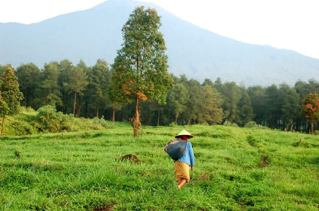 Chepang Hill Trek
